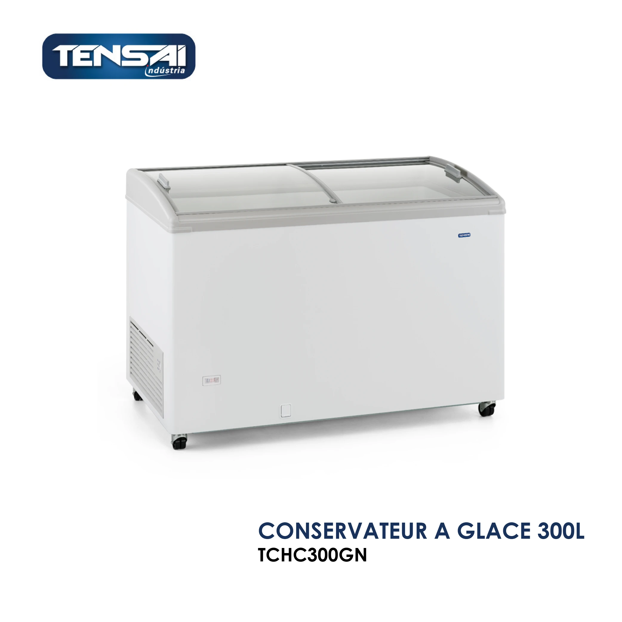 CONSERVATEUR-A-GLACE-300L-TCHC300GN